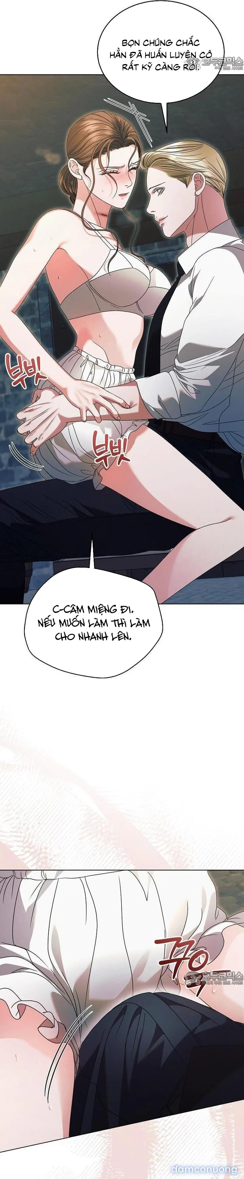 Hãy Cầu Xin Ta Đi 