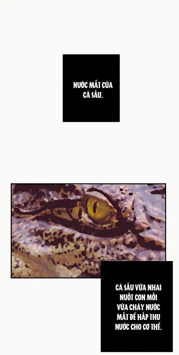 [18+] CÁM DỖ MÀU ĐỎ 