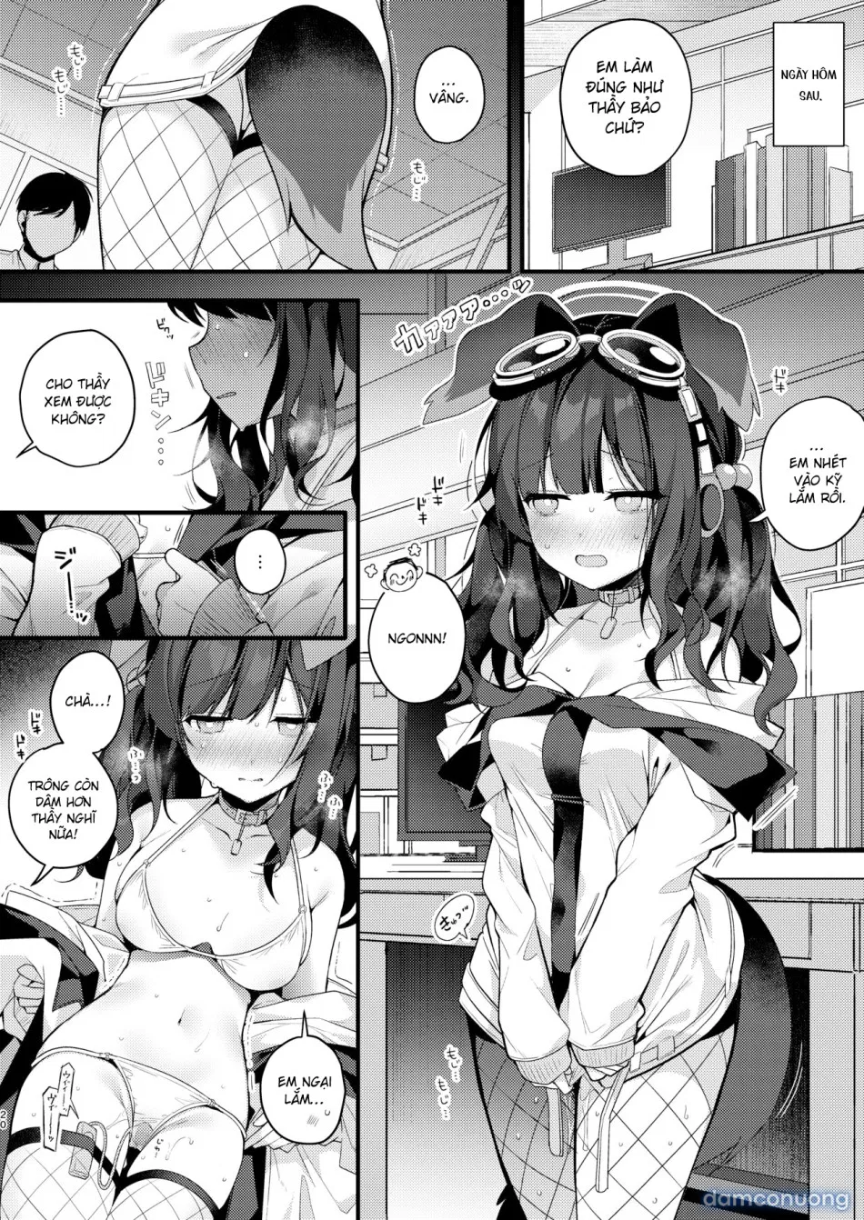 Nekozuka Hibiki hôm nay cũng không thể từ chối. 
