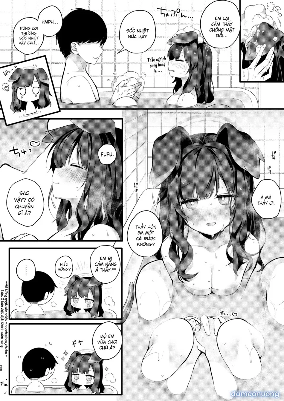 Nekozuka Hibiki hôm nay cũng không thể từ chối. 