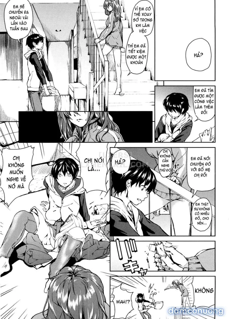 Koimitsu Fragrancee 