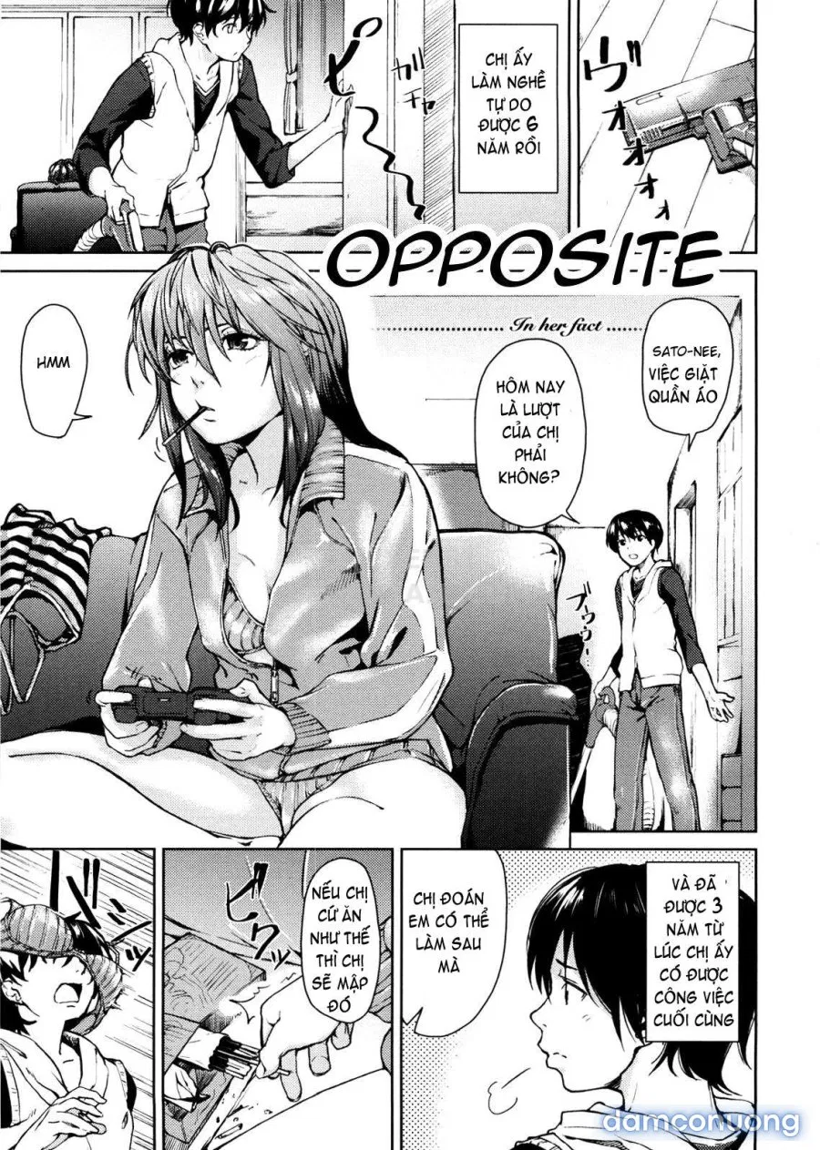 Koimitsu Fragrancee 