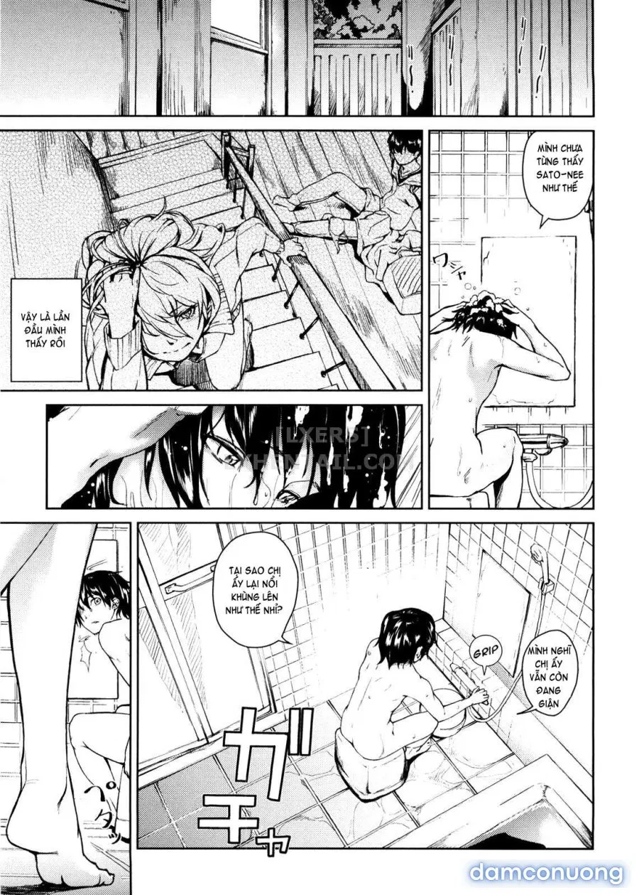 Koimitsu Fragrancee 