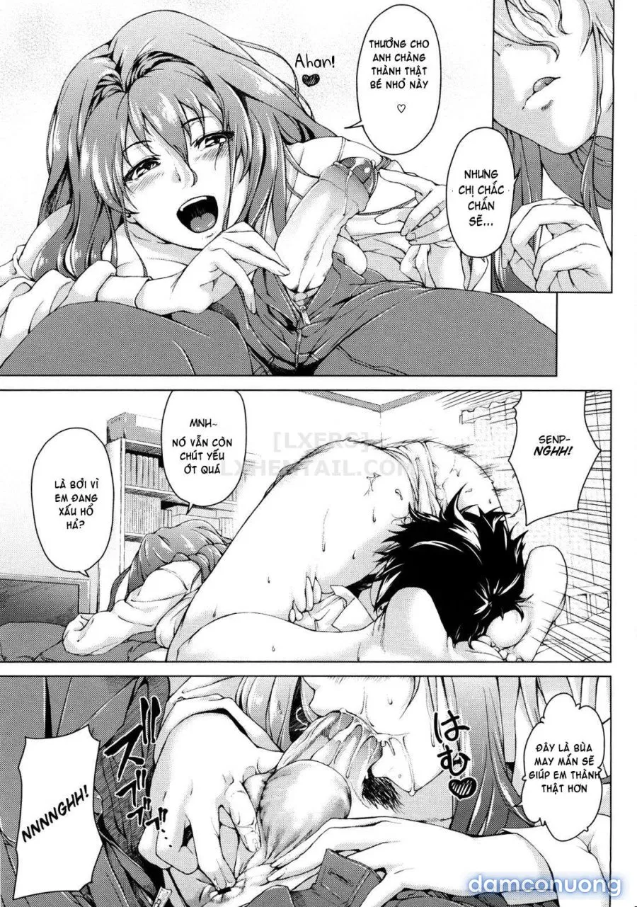 Koimitsu Fragrancee 