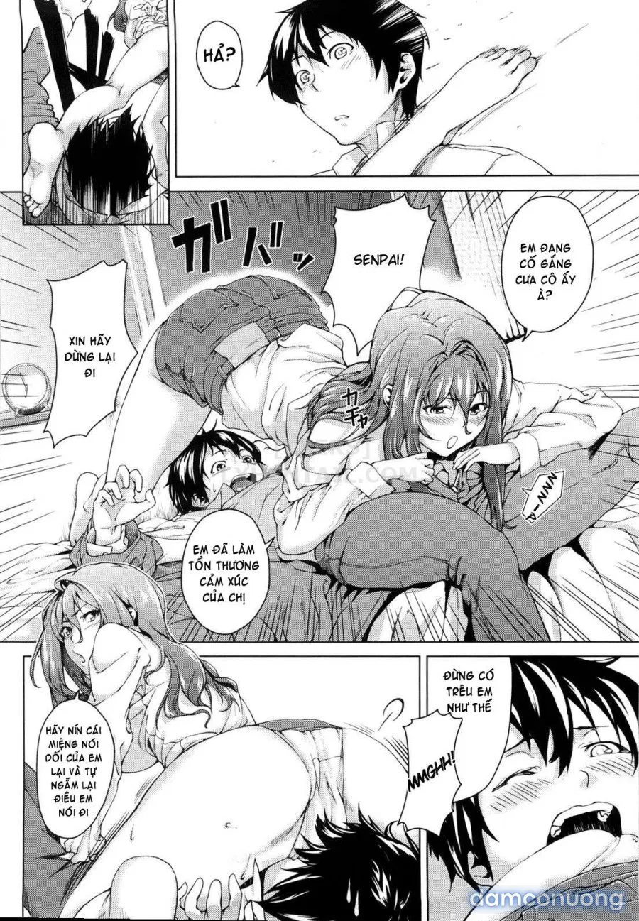 Koimitsu Fragrancee 