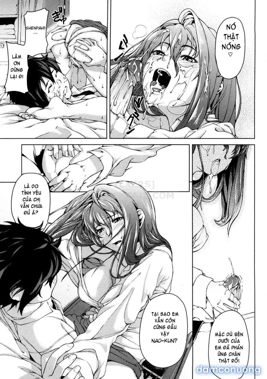 Koimitsu Fragrancee 