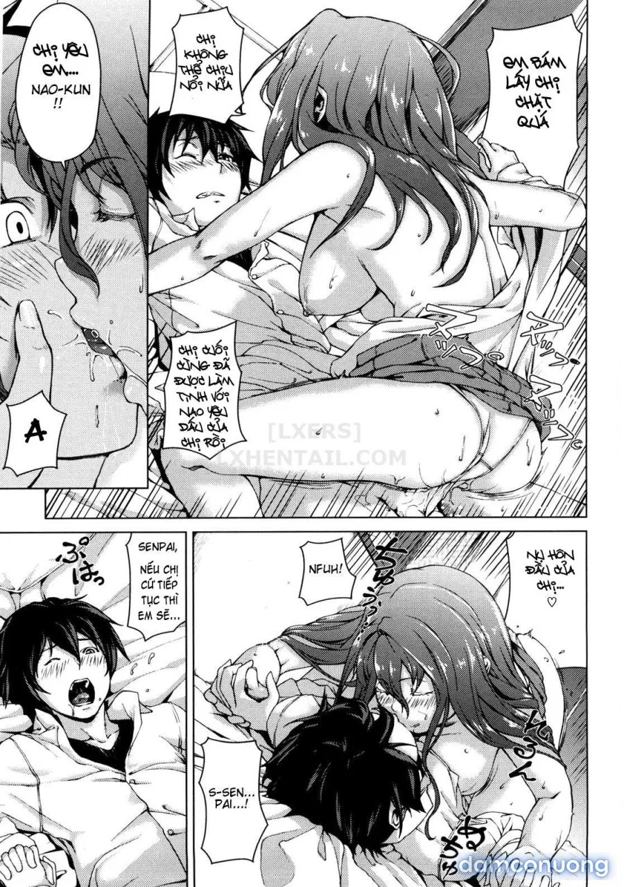 Koimitsu Fragrancee 
