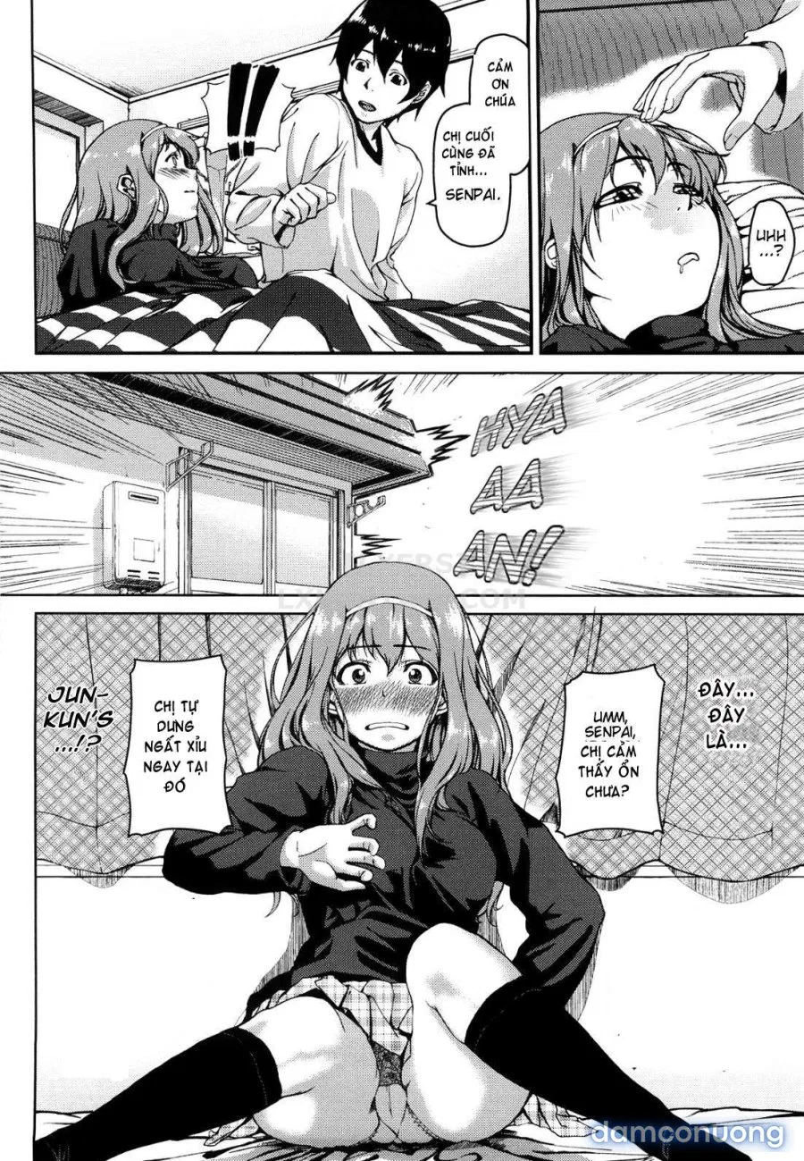 Koimitsu Fragrancee 