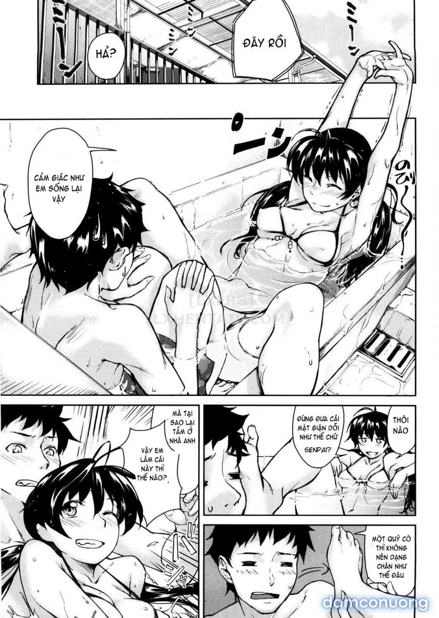 Koimitsu Fragrancee 