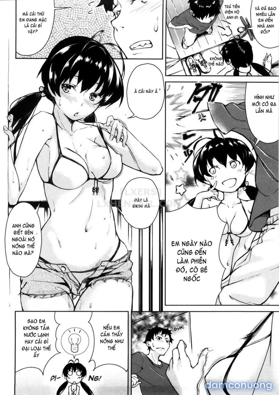 Koimitsu Fragrancee 
