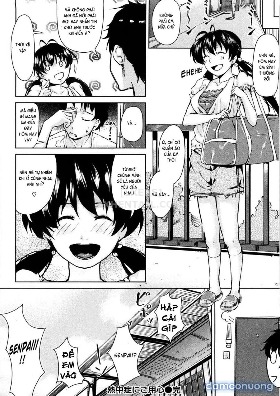 Koimitsu Fragrancee 