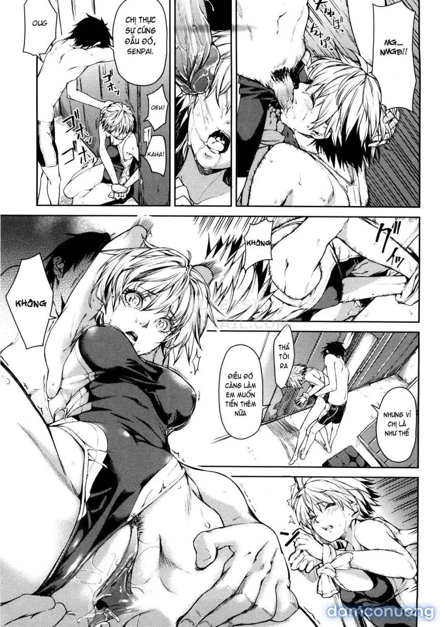 Koimitsu Fragrancee 
