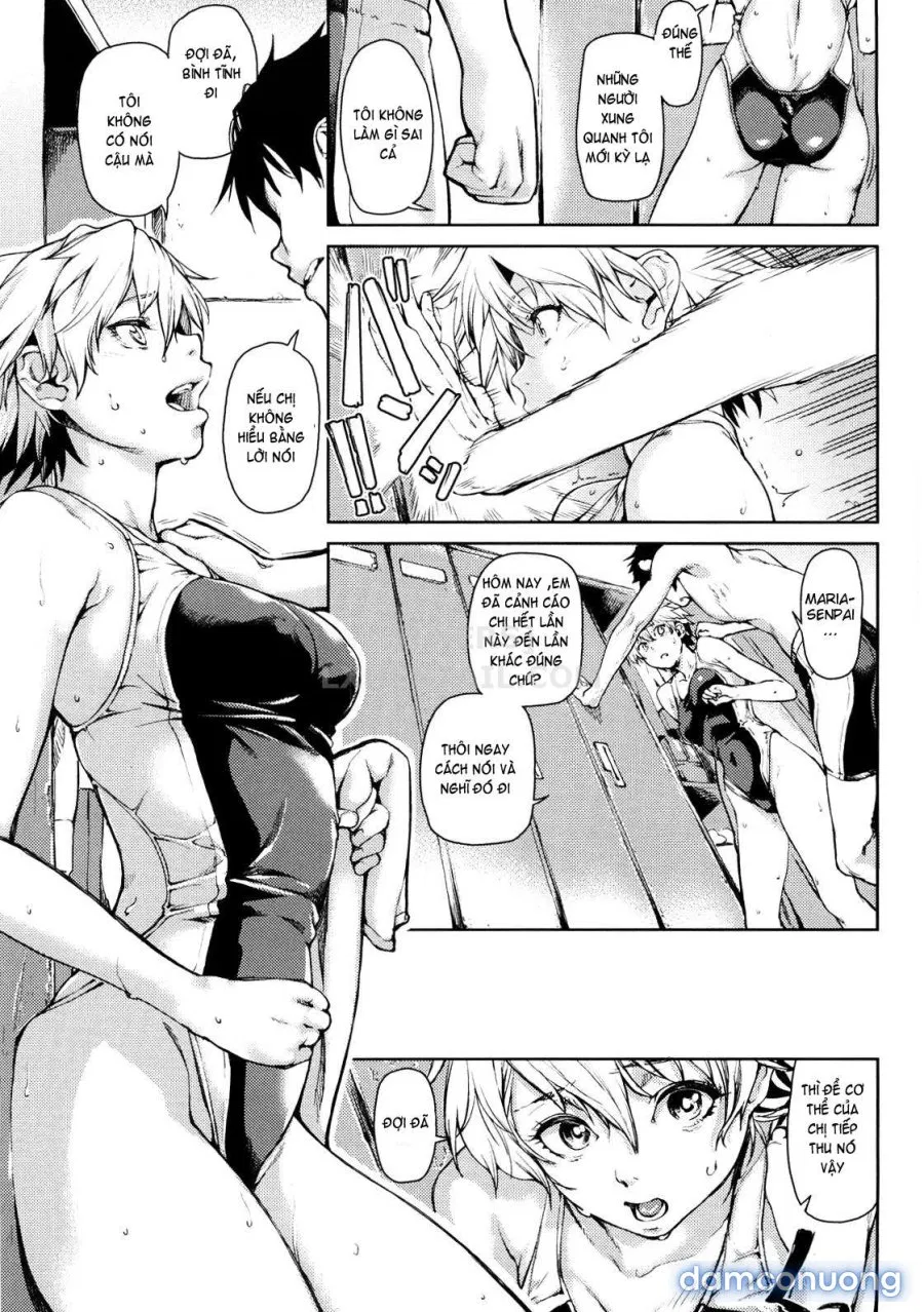 Koimitsu Fragrancee 