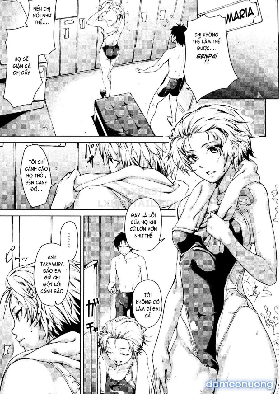 Koimitsu Fragrancee 