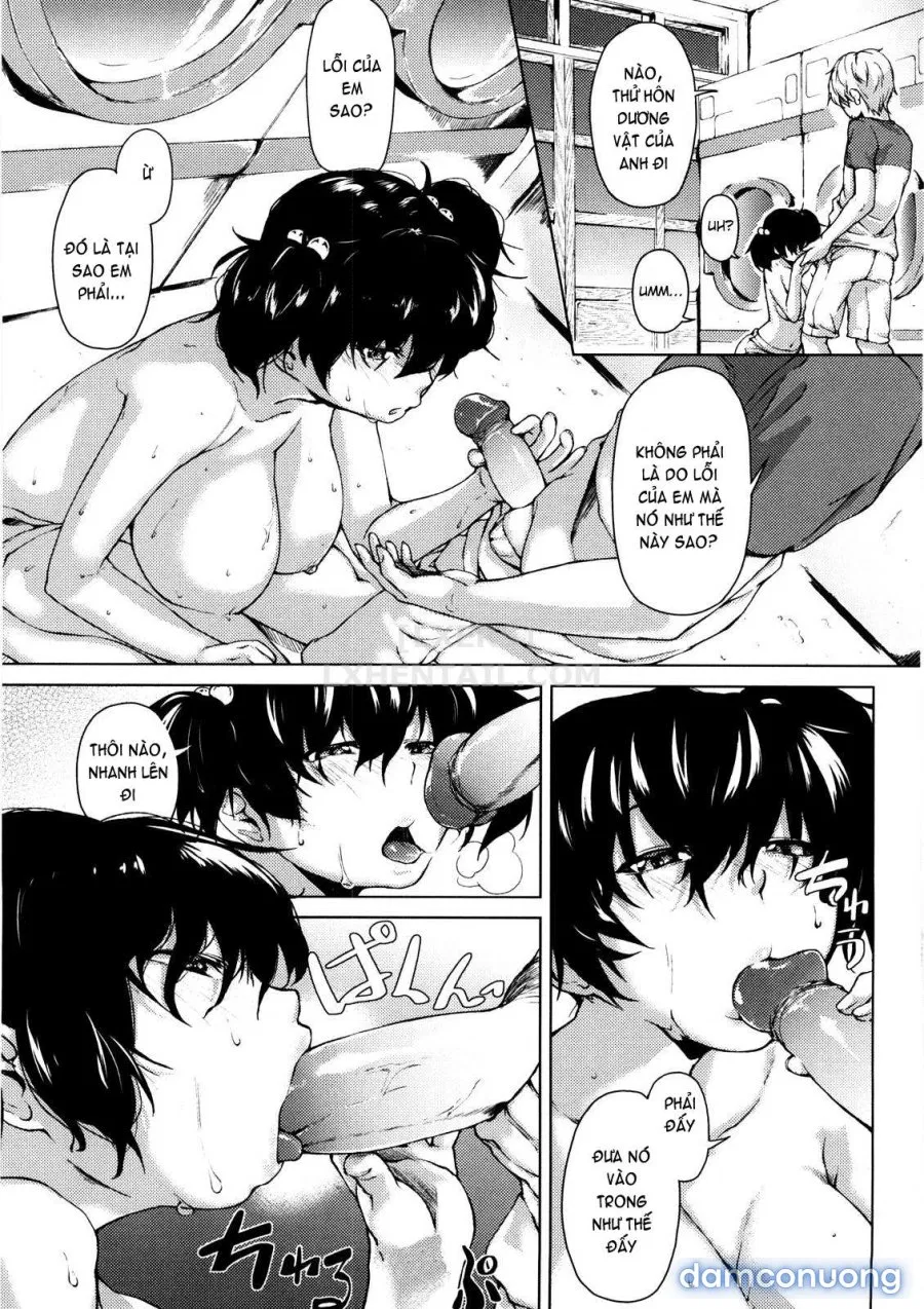 Koimitsu Fragrancee 
