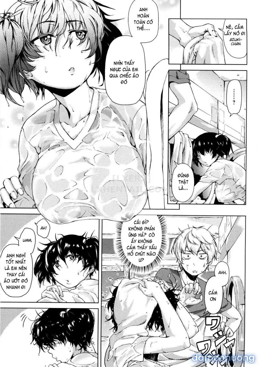 Koimitsu Fragrancee 