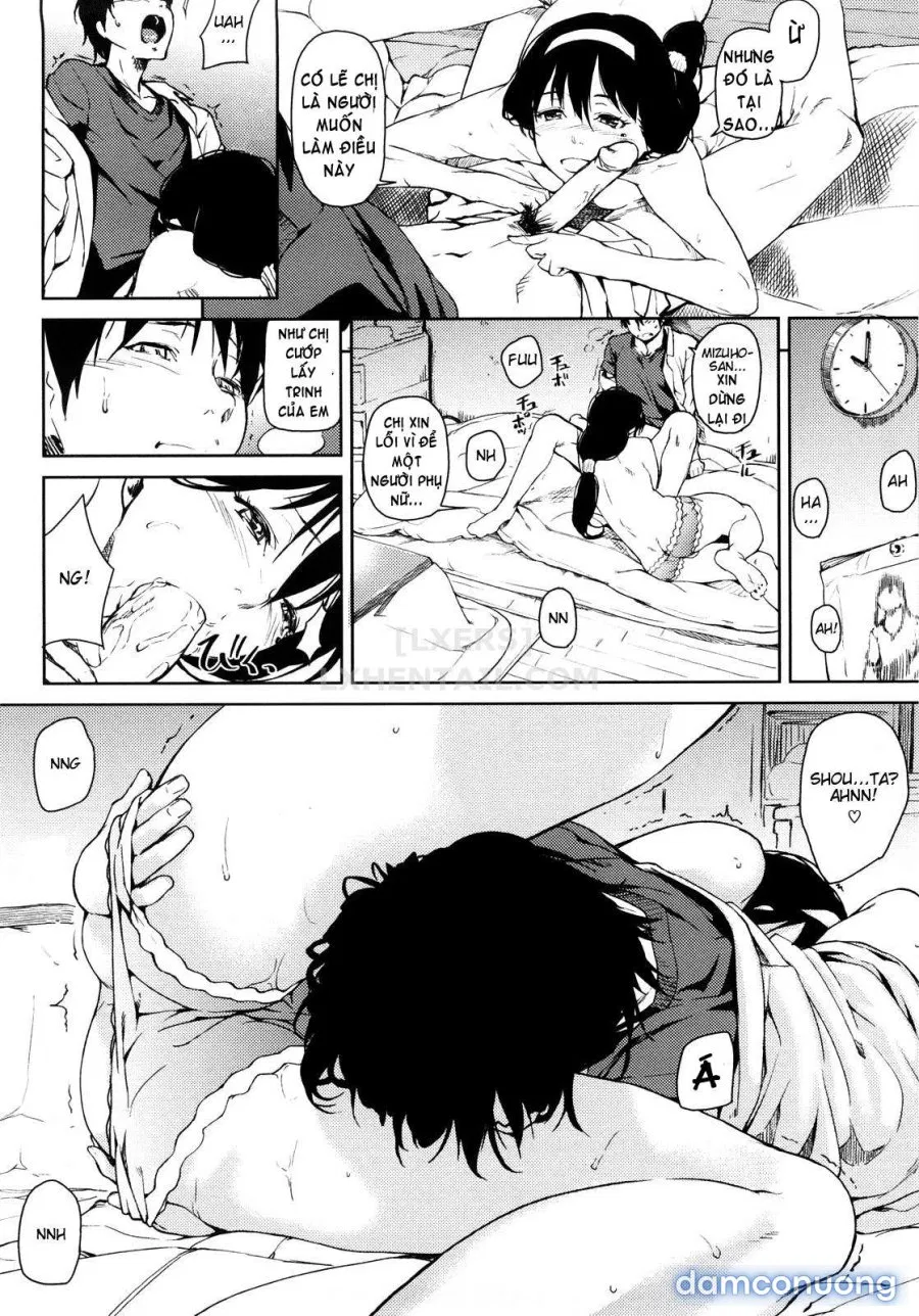 Koimitsu Fragrancee 
