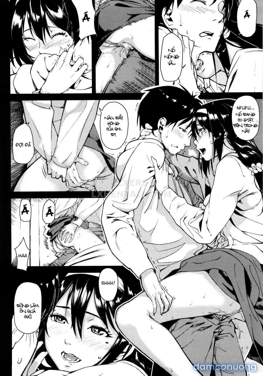 Koimitsu Fragrancee 