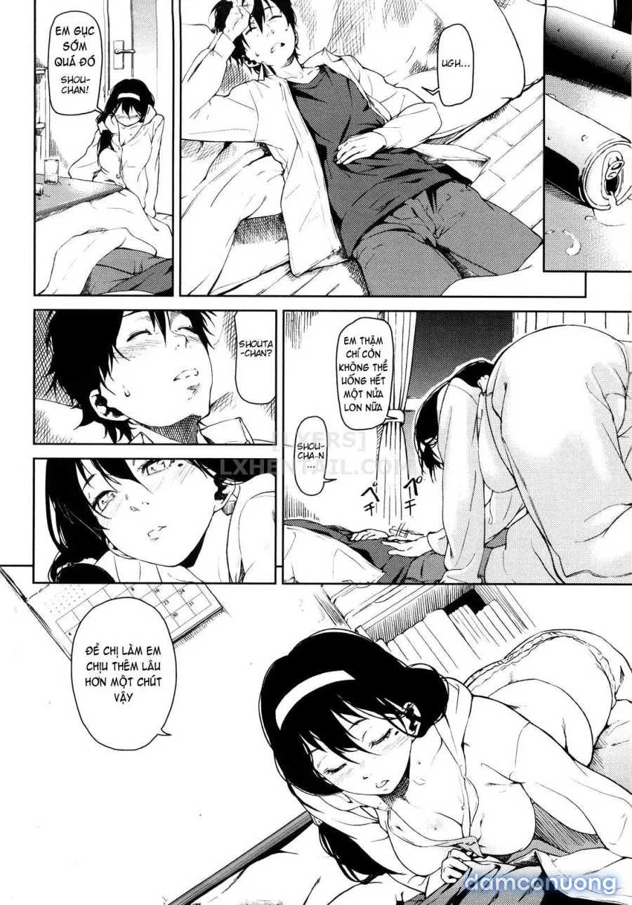 Koimitsu Fragrancee 