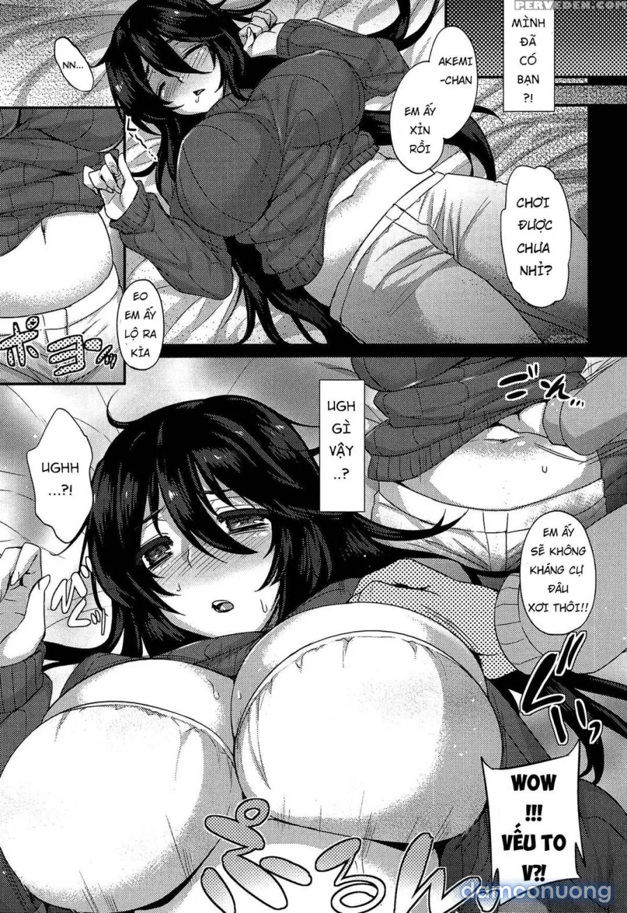 Anamawashiii 