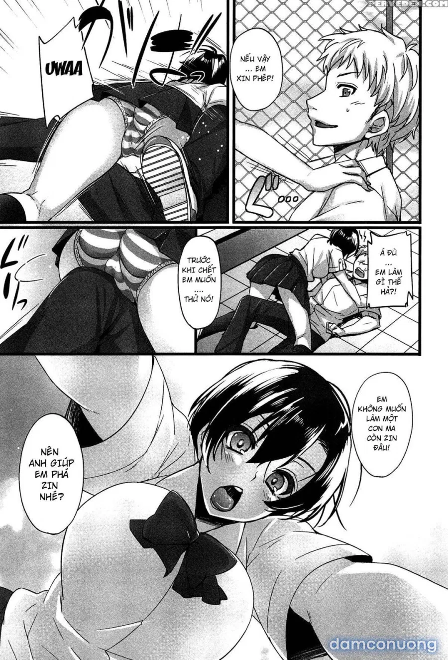 Anamawashiii 