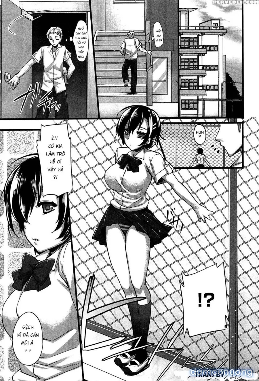 Anamawashiii 