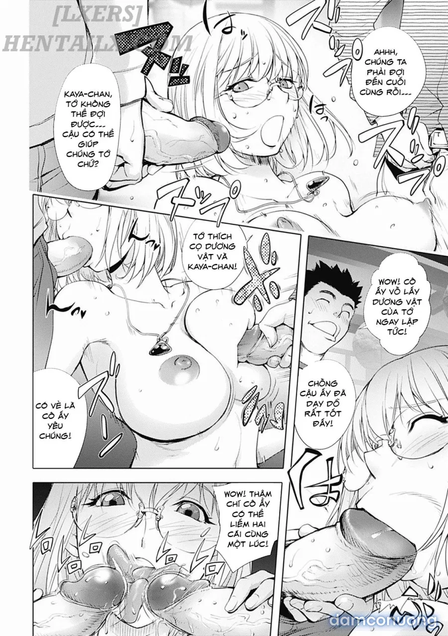 KayaNetori Kaya-Nee Series Aizou Bannn 