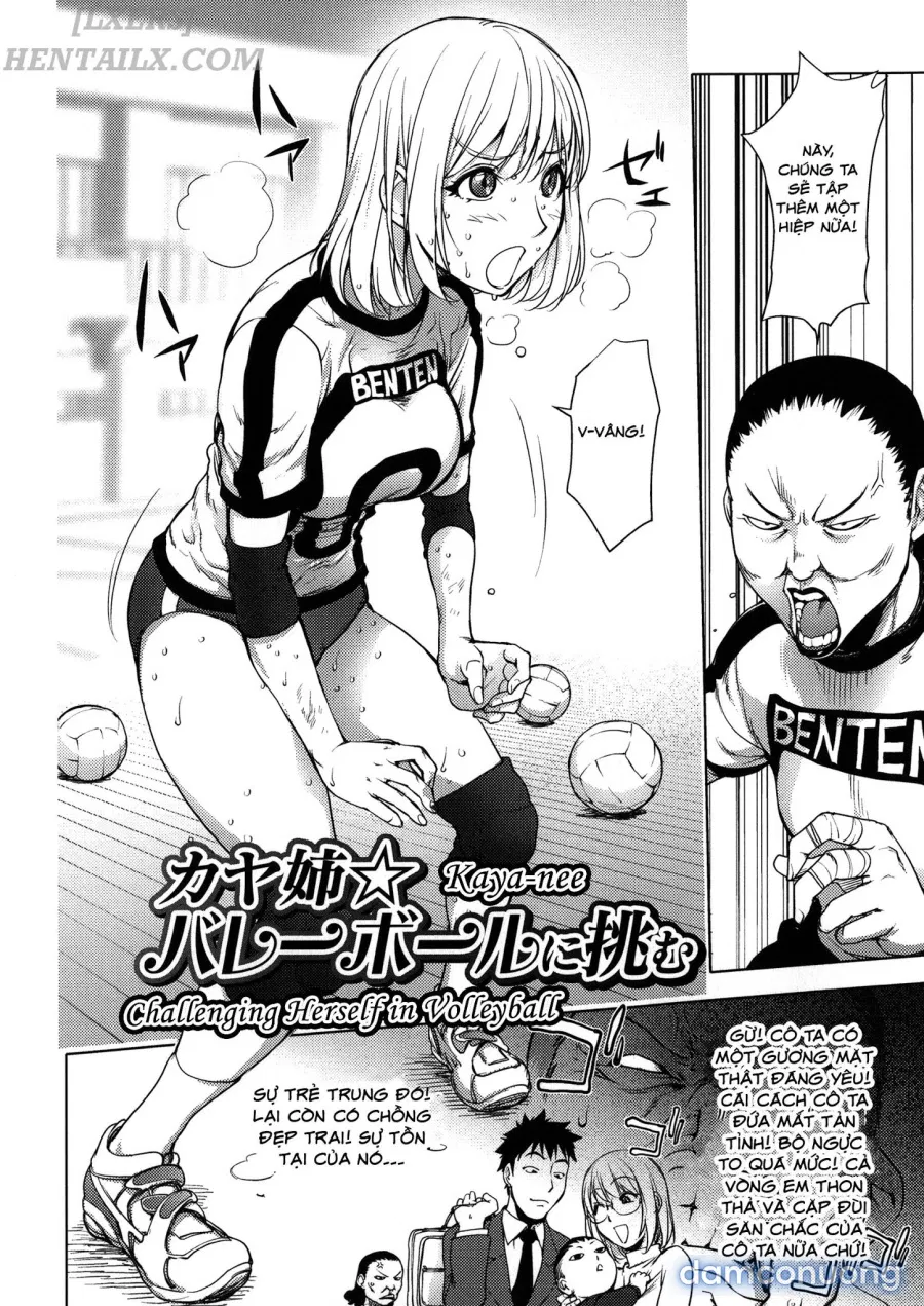KayaNetori Kaya-Nee Series Aizou Bannn 