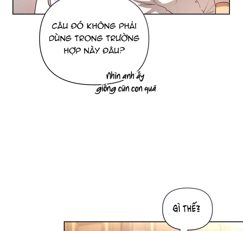 [18+] Bánh Mì Baguette Sữa Đặc Ngon Tuyệt 