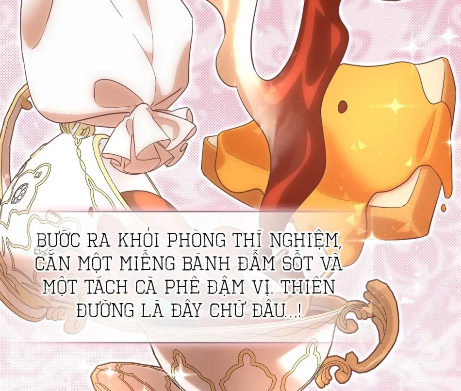 [18+] Bánh Mì Baguette Sữa Đặc Ngon Tuyệt 