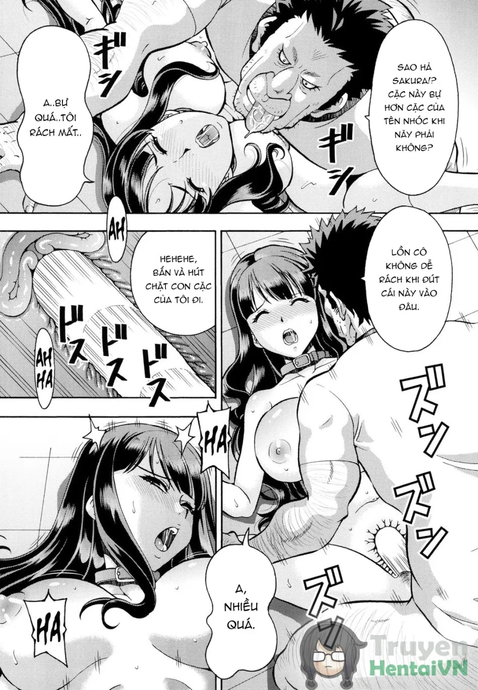 Netorareta Gakuen Pet Kyoushi Sakura | Netorare School: Pet Teacher Sakura 