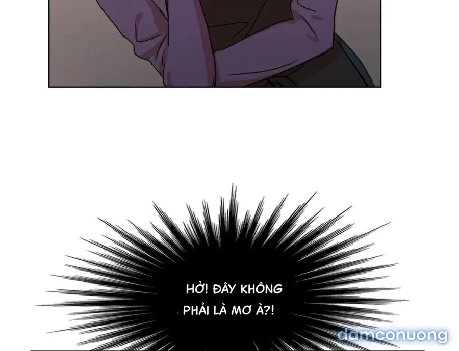 TƯỞNG TƯỢNG CỦA NEREA 