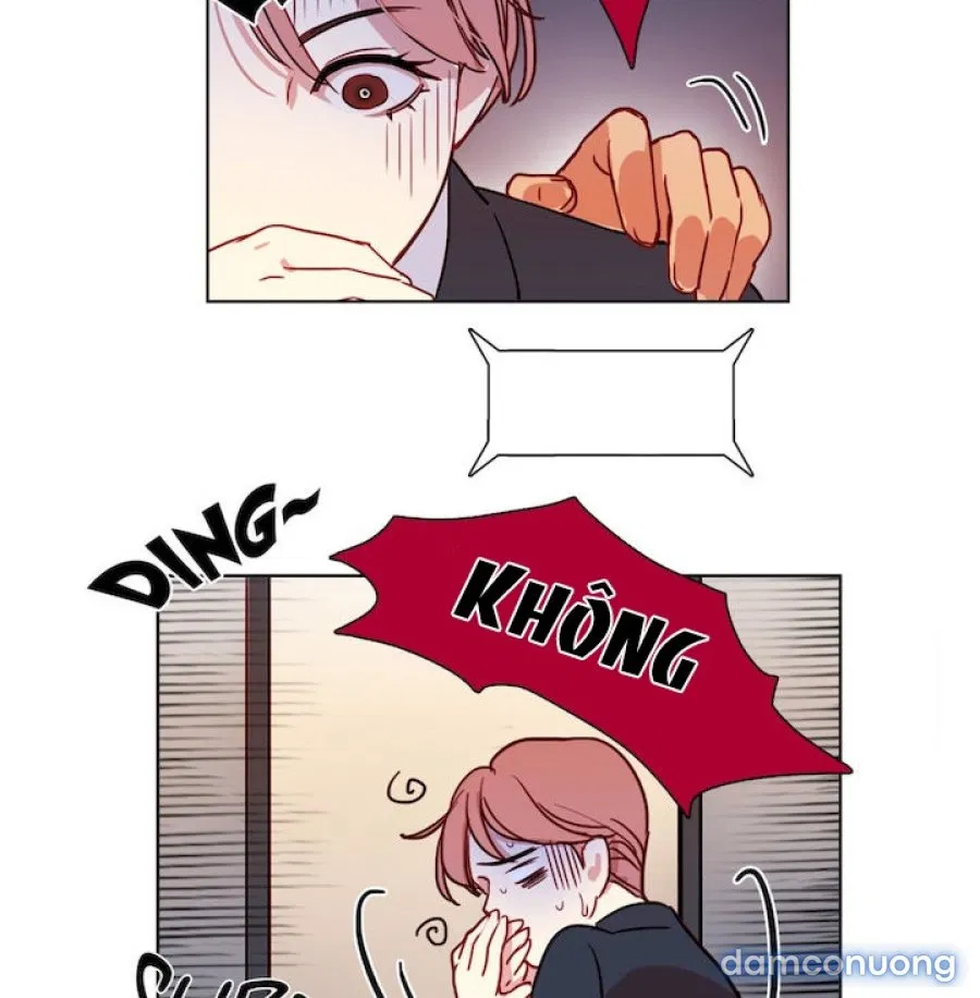 TƯỞNG TƯỢNG CỦA NEREA 
