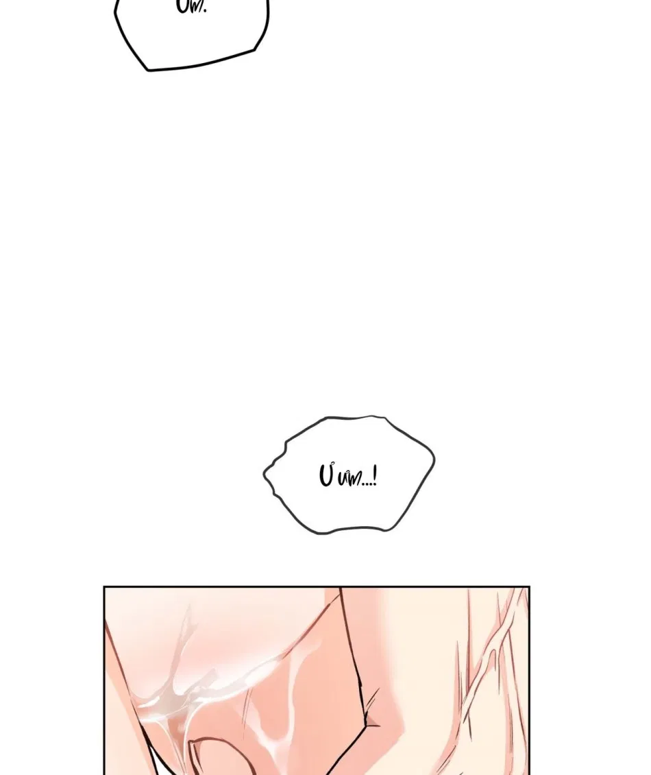 [18+] Trong Nhà Tôi Có Chuột 