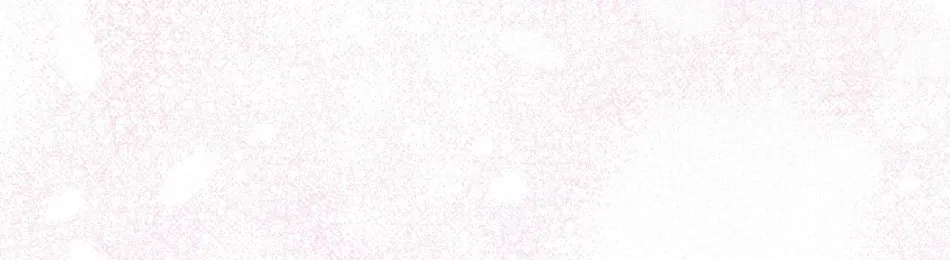 [18+] Trong Nhà Tôi Có Chuột 