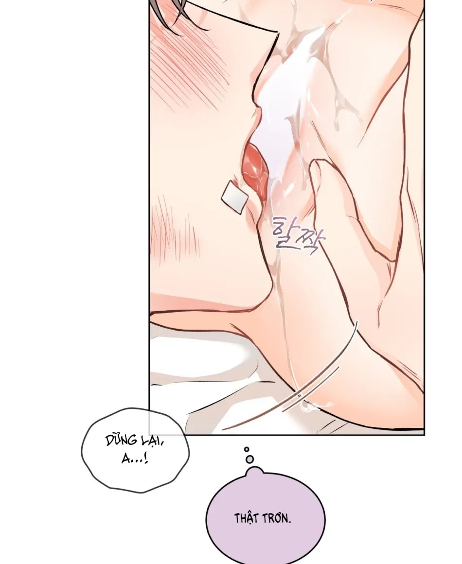 [18+] Trong Nhà Tôi Có Chuột 