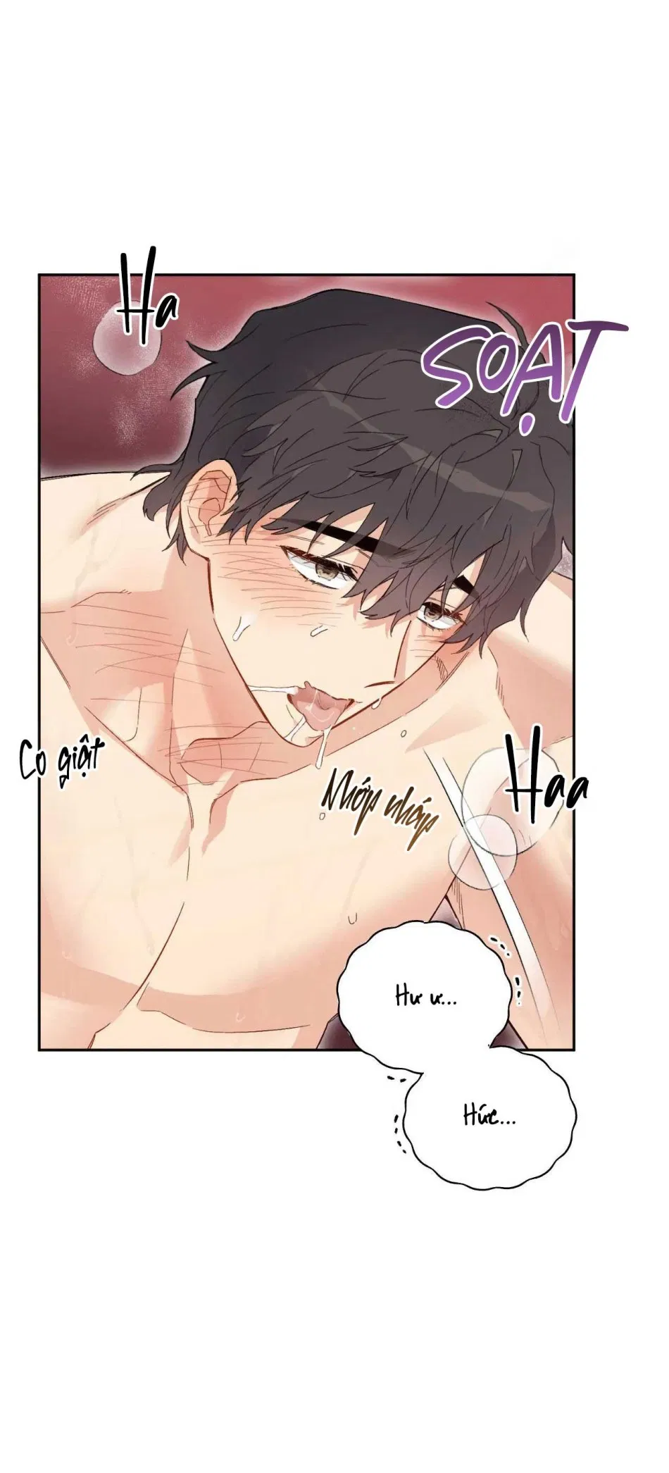 [18+ BL] VẬN MỆNH CỦA CẬU LÀ GÌ? 