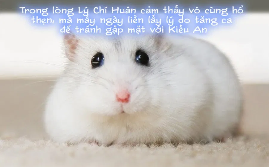 Tiểu sử của Chen Qiaoan Chương cuối 