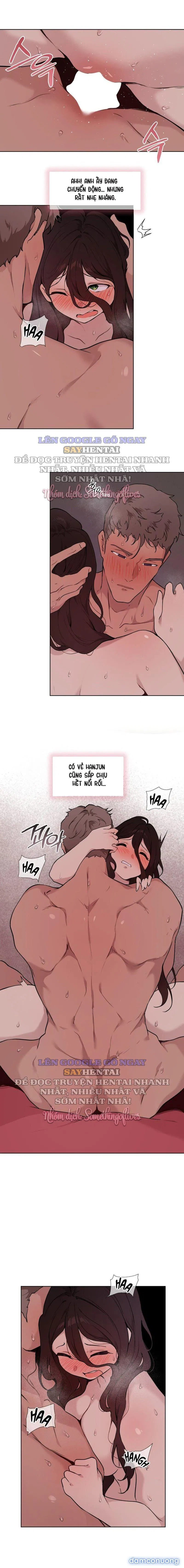Kiểm Định Ghế Tình Yêu 