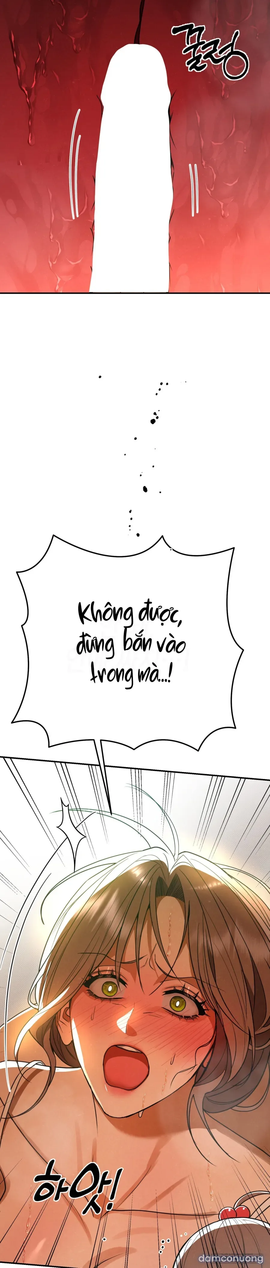 Ngưỡng Tuyệt Đối 