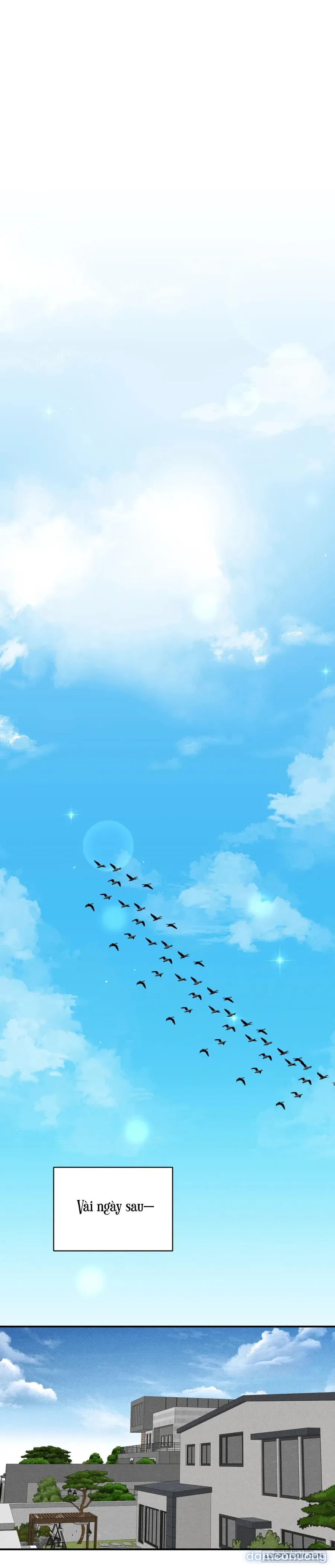 Ngưỡng Tuyệt Đối 