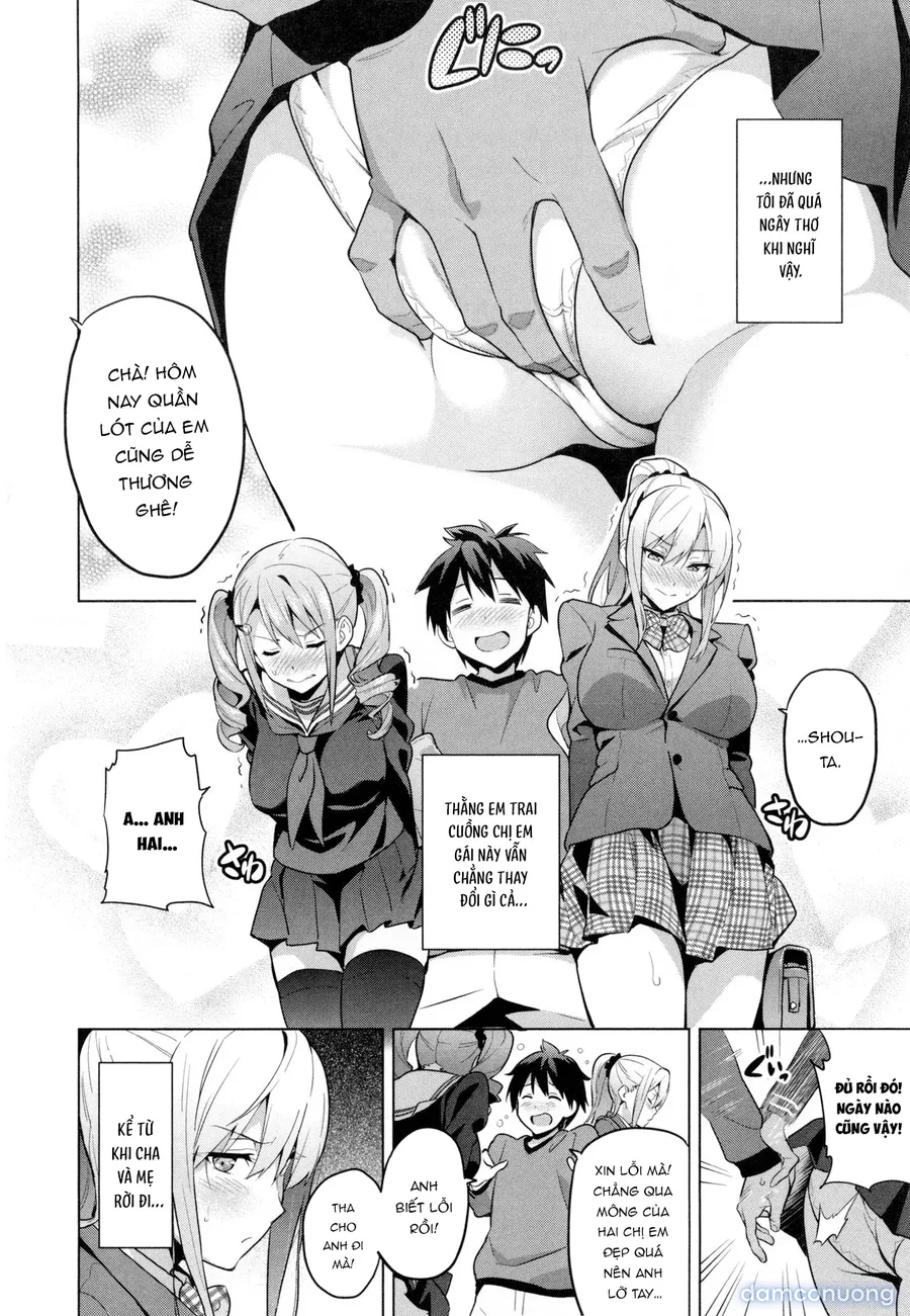 Sister Breeder 