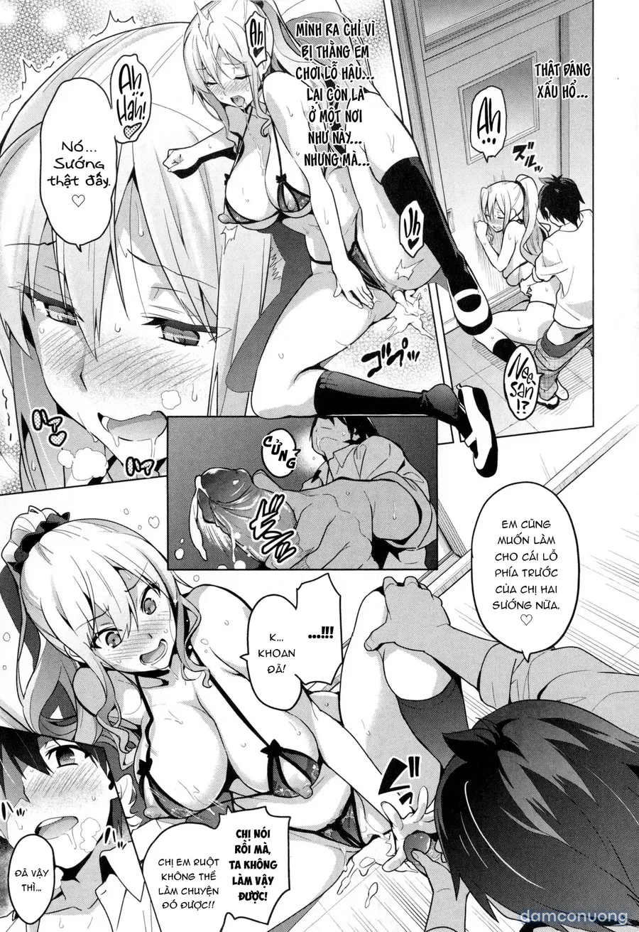 Sister Breeder 