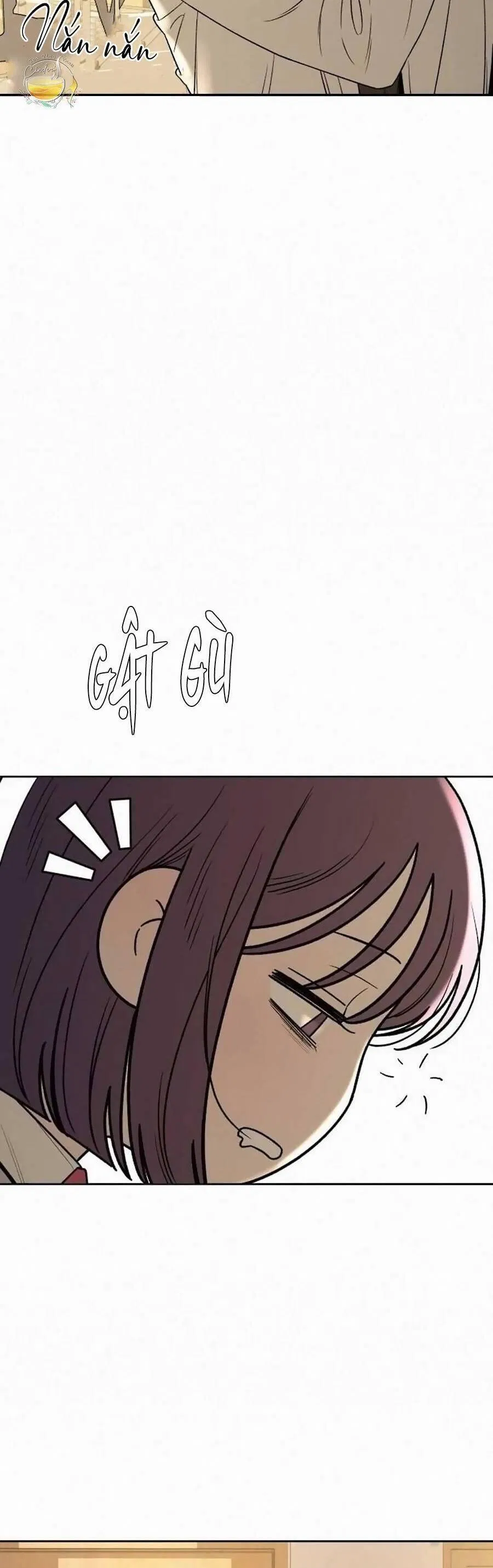 Tình Yêu Trong Sáng 