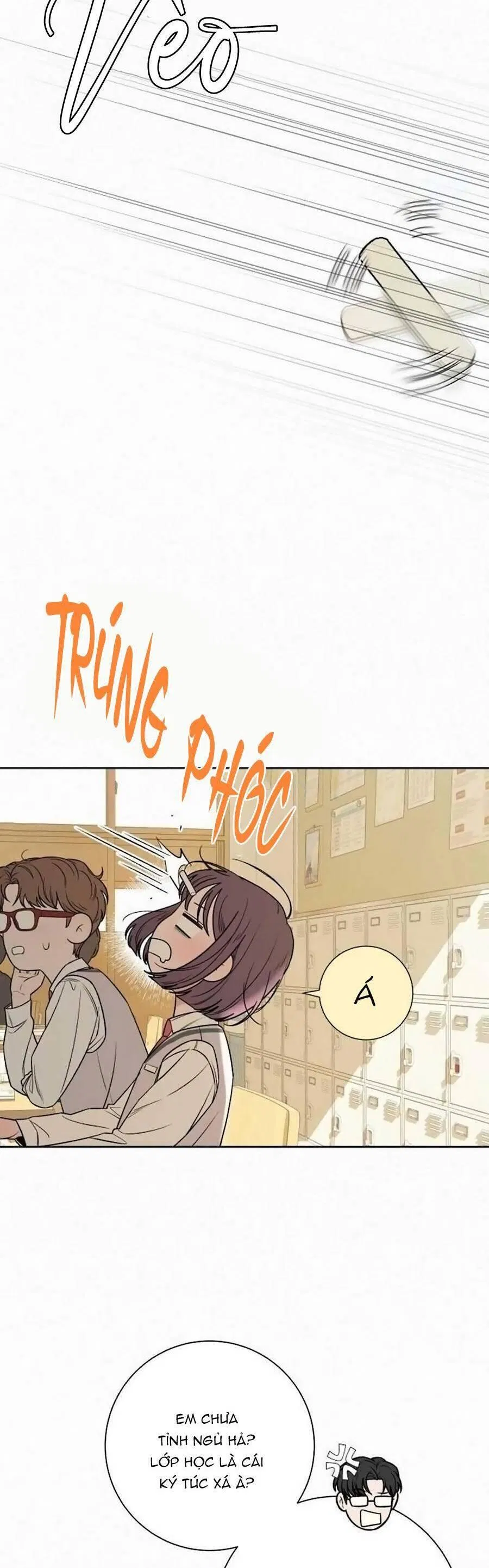 Tình Yêu Trong Sáng 