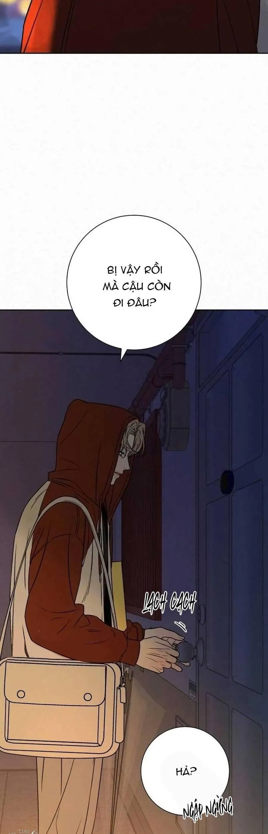 Tình Yêu Trong Sáng 