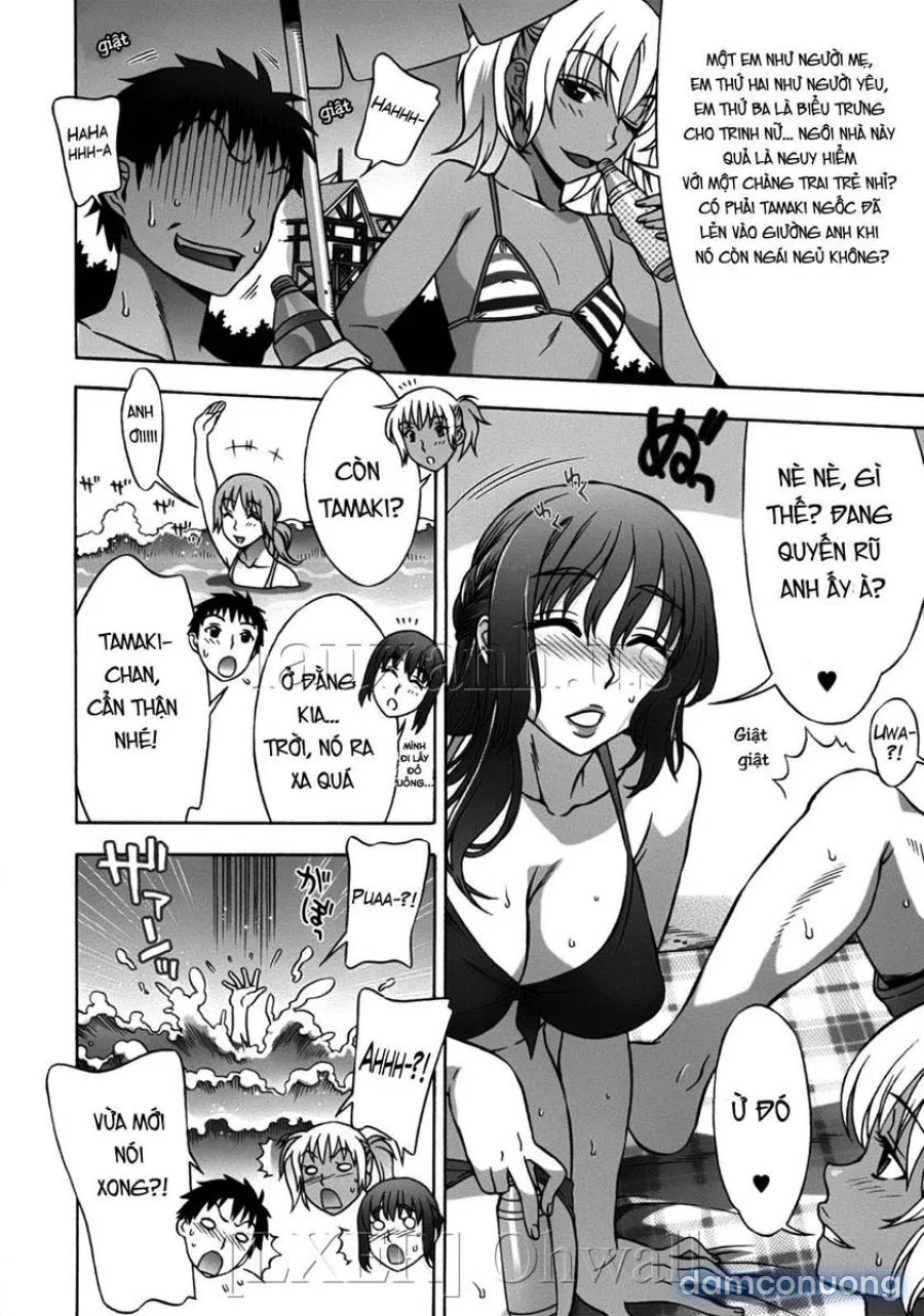 Omamagoto 