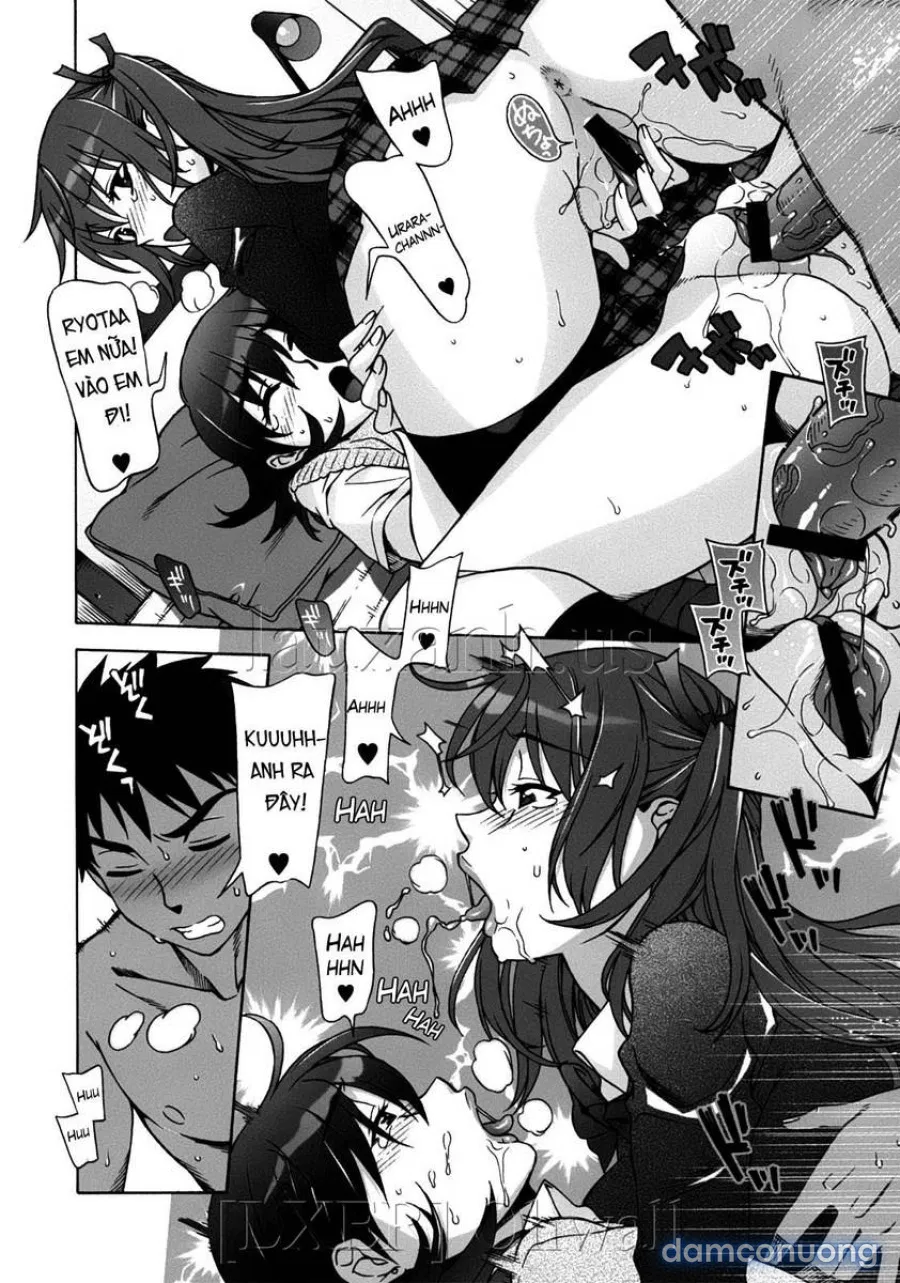 Omamagoto 
