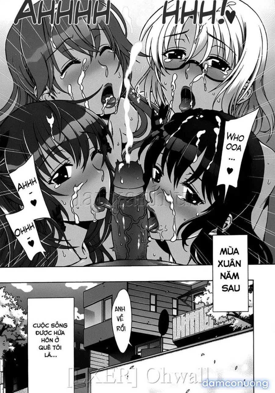 Omamagoto 