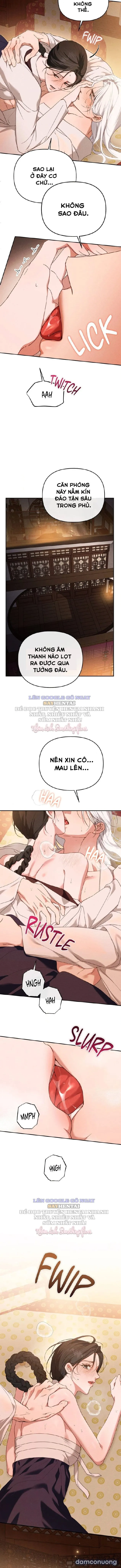 Cạm Bẫy Ngọt Ngào 